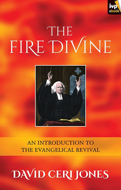 Cover image for The Fire Divine, isbn: 9781783592920