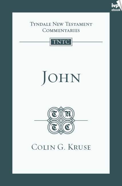 Cover image for TNTC John, isbn: 9781783593156