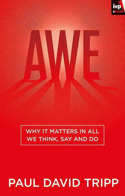 Cover image for Awe, isbn: 9781783593781