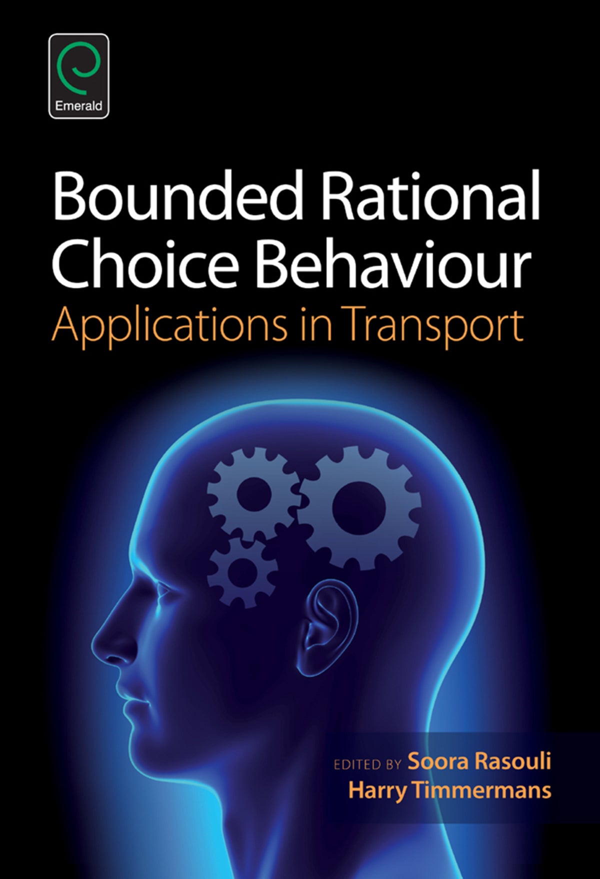 Bounded Rational Choice Behaviour
