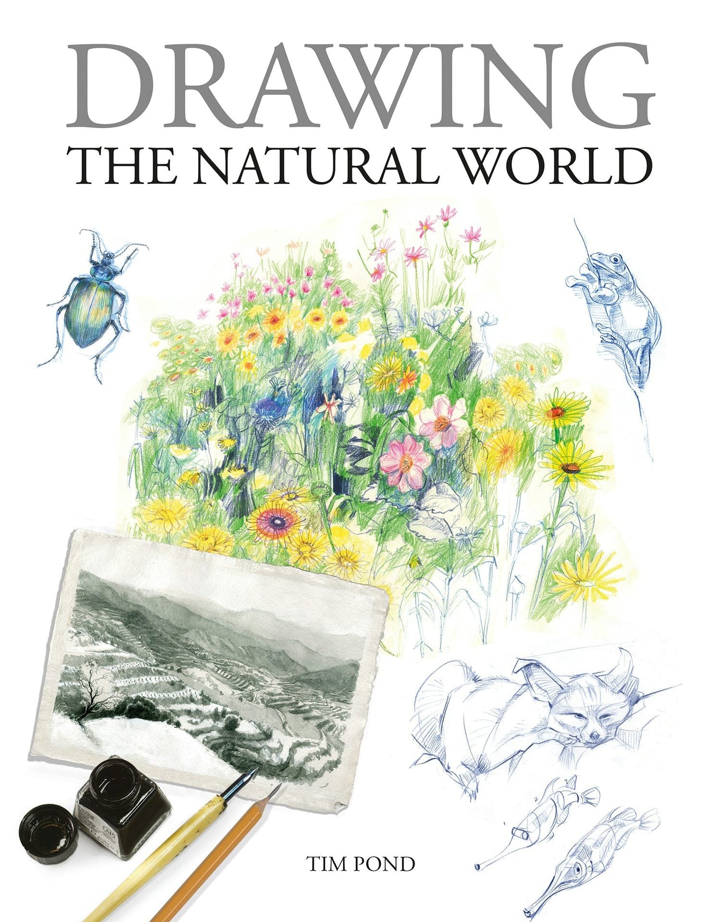 Book cover image for Drawing the Natural World ISBN: 9781784946388