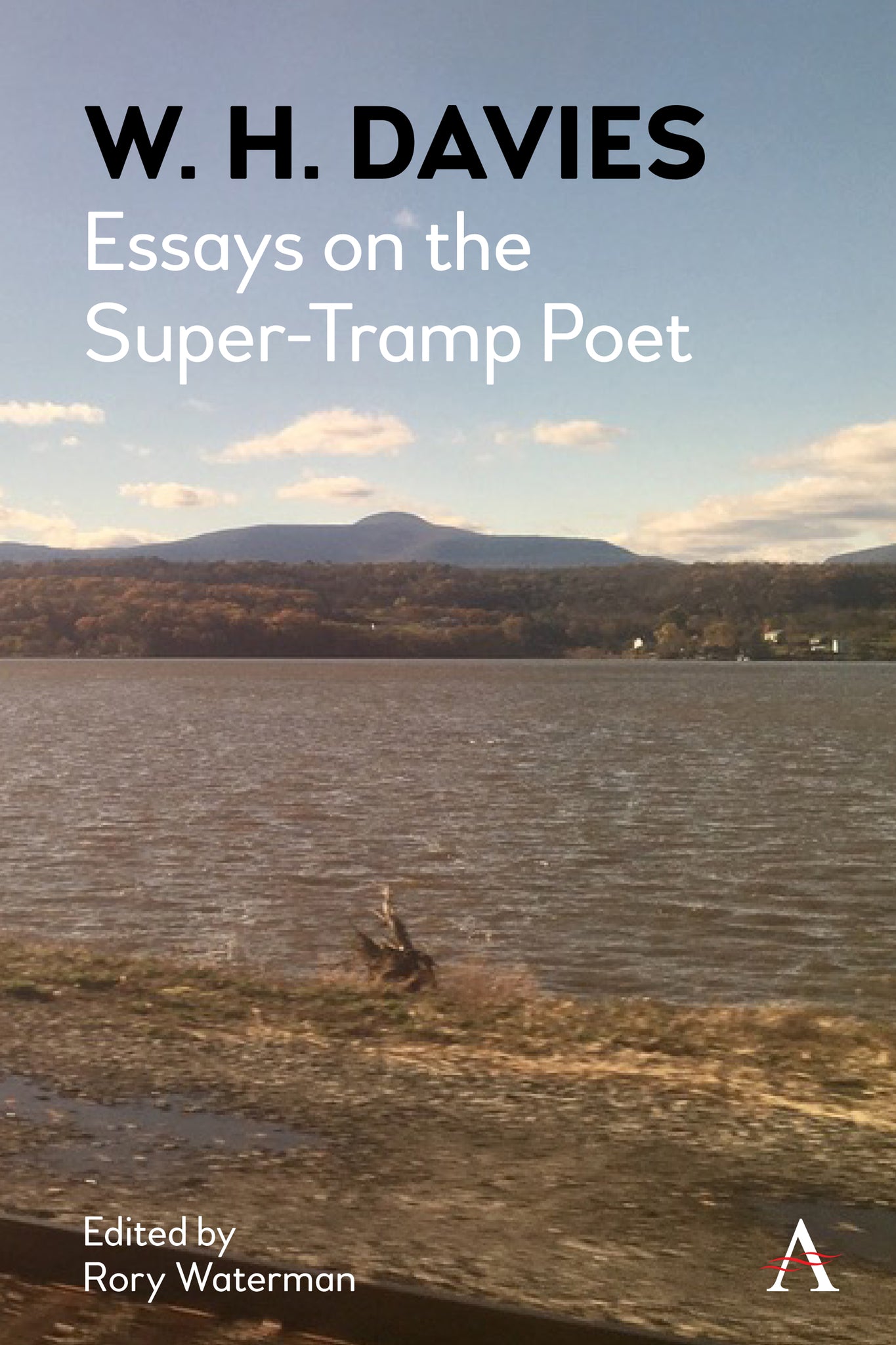 Cover image for W. H. Davies ISBN 9781785274565