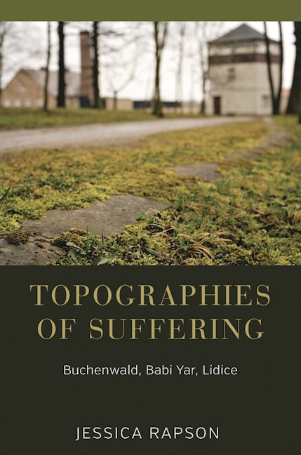 Book cover image for Topographies of Suffering ISBN: 9781785335112