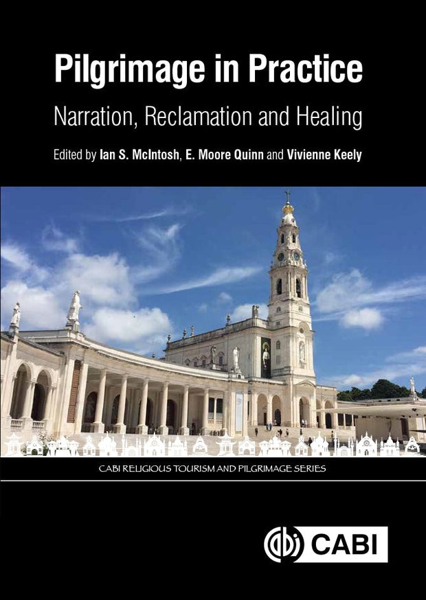 Cover image for Pilgrimage in Practice, isbn: 9781786395009
