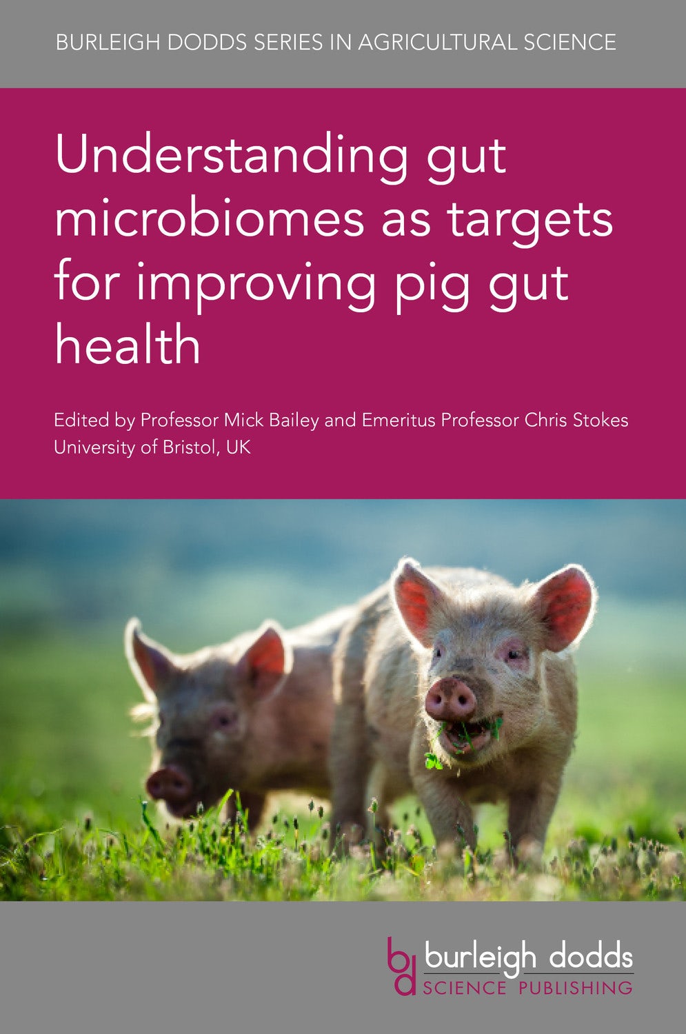 Book cover image for Understanding gut microbiomes as targets for improving pig gut health ISBN: 9781786764874