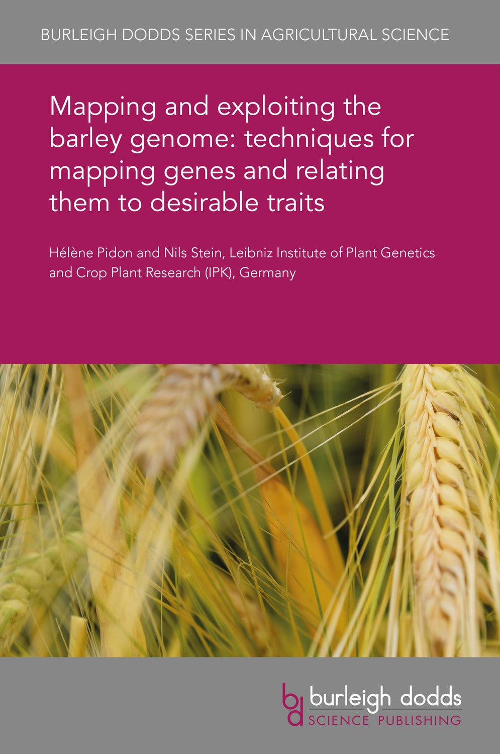 Book cover image for Mapping and exploiting the barley genome: techniques for mapping genes and relating them to desirable traits ISBN: 9781786766083