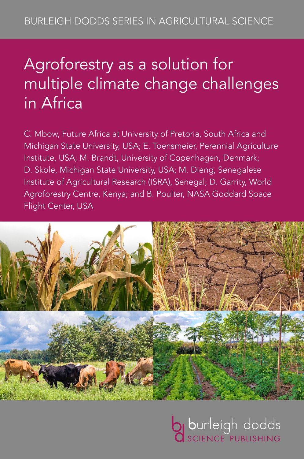 Book cover image for Agroforestry as a solution for multiple climate change challenges in Africa ISBN: 9781786766328