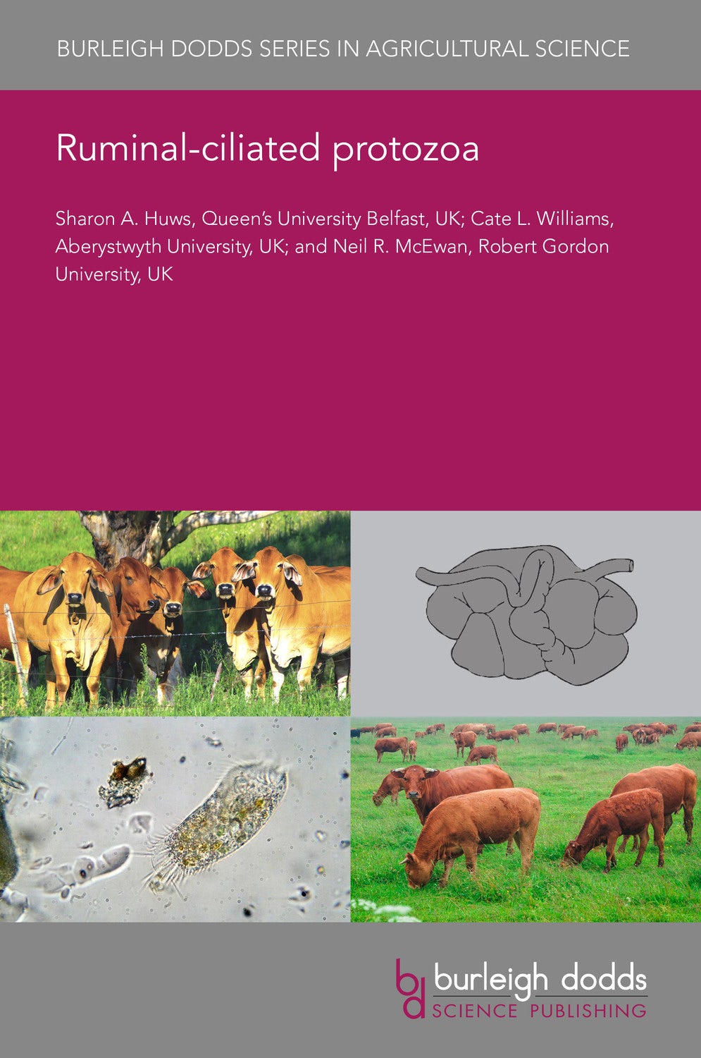 Book cover image for Ruminal-ciliated protozoa ISBN: 9781786767974
