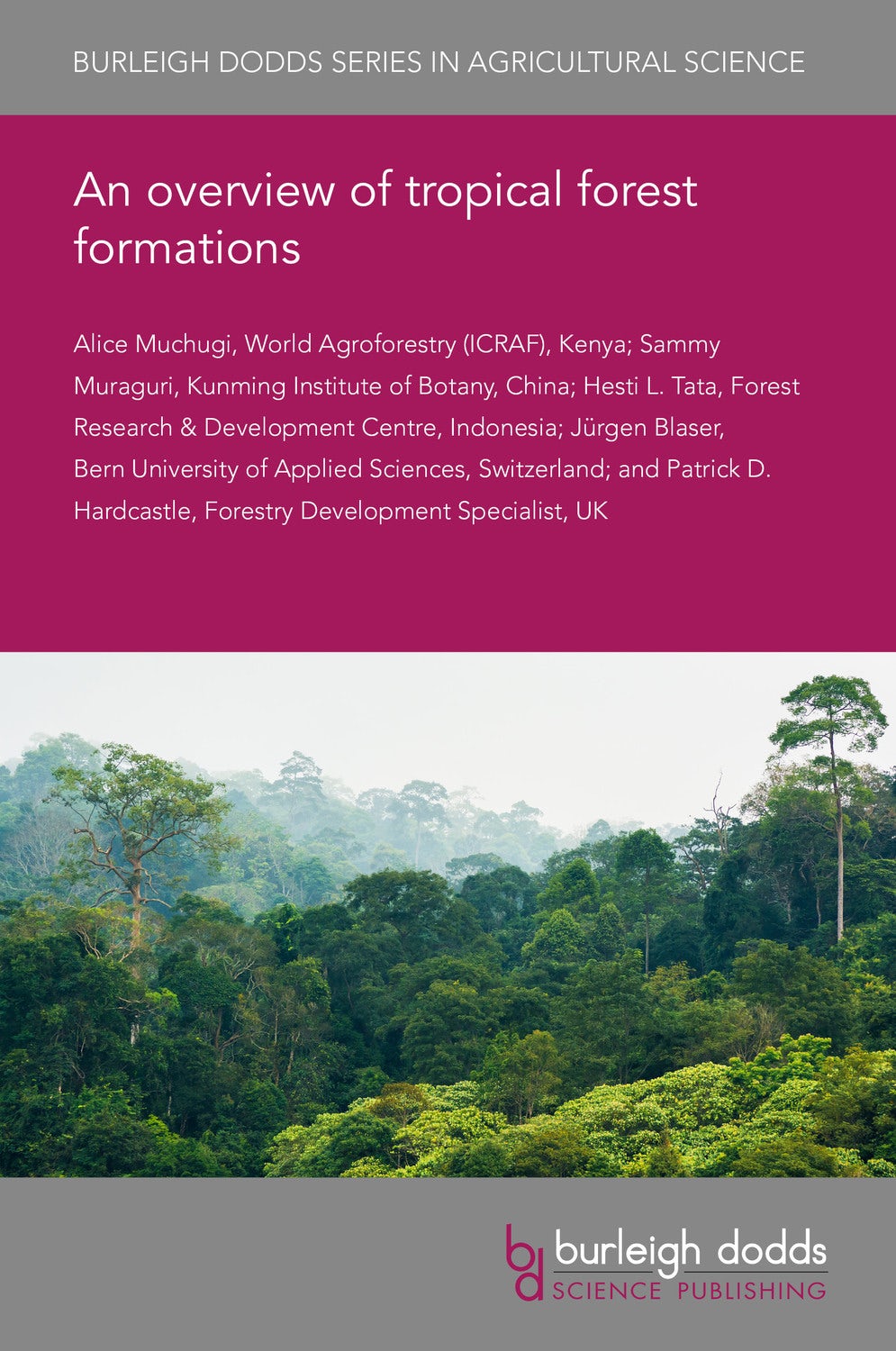 Book cover image for An overview of tropical forest formations ISBN: 9781786768940