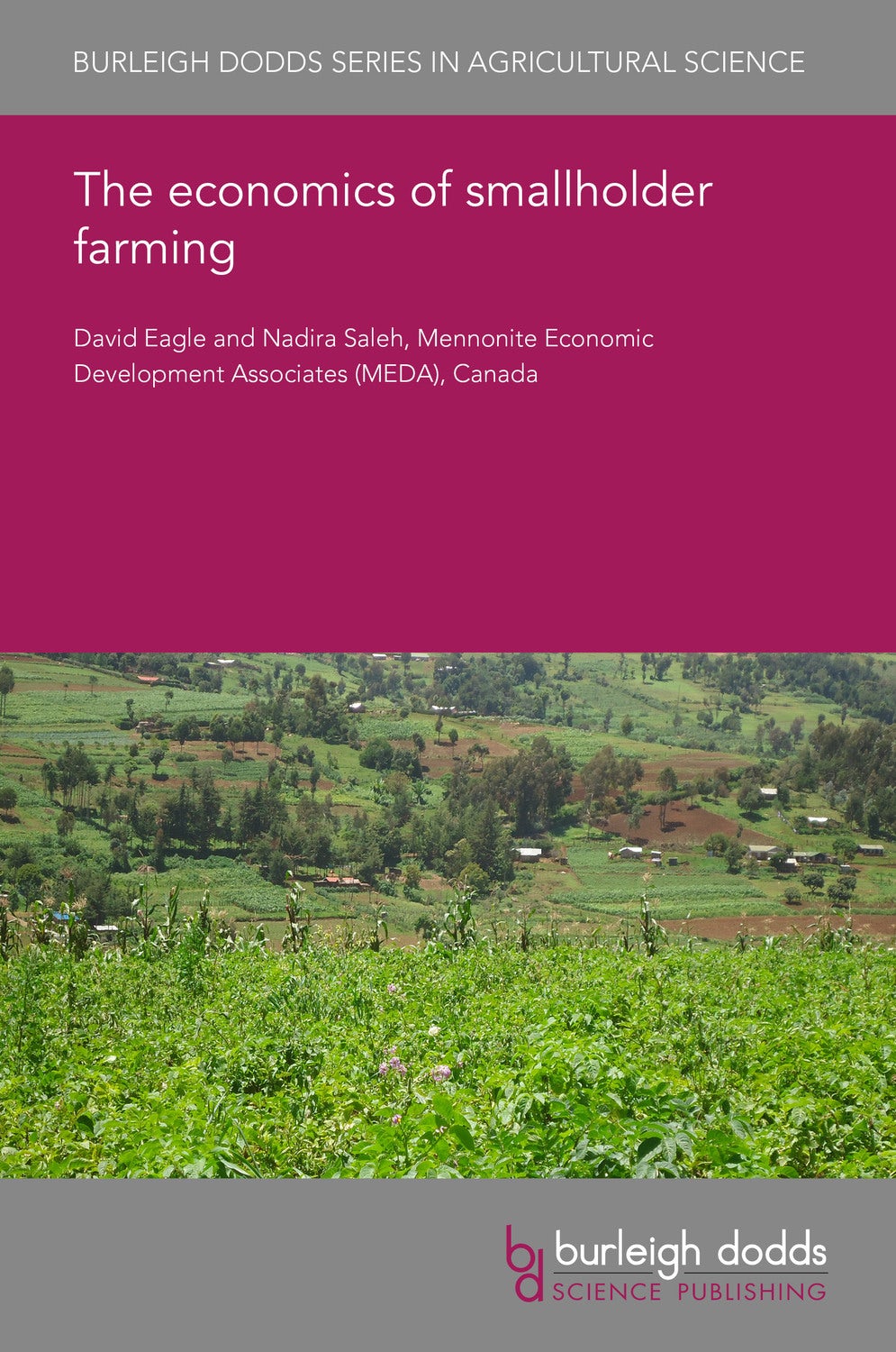 Book cover image for The economics of smallholder farming ISBN: 9781786769558