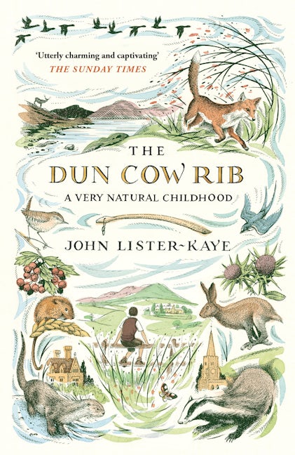 Book cover image for The Dun Cow Rib ISBN: 9781786891471