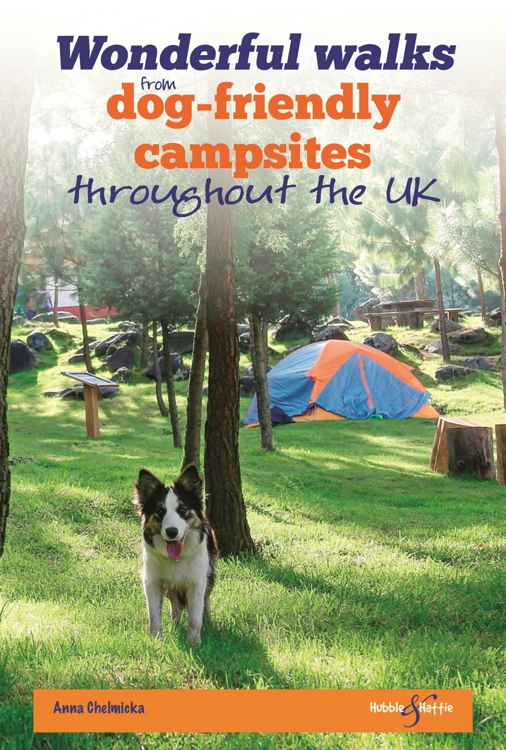 Wonderful walks from Dog-friendly campsites throughout Great Britain