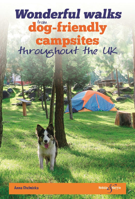 Wonderful walks from Dog-friendly campsites throughout Great Britain