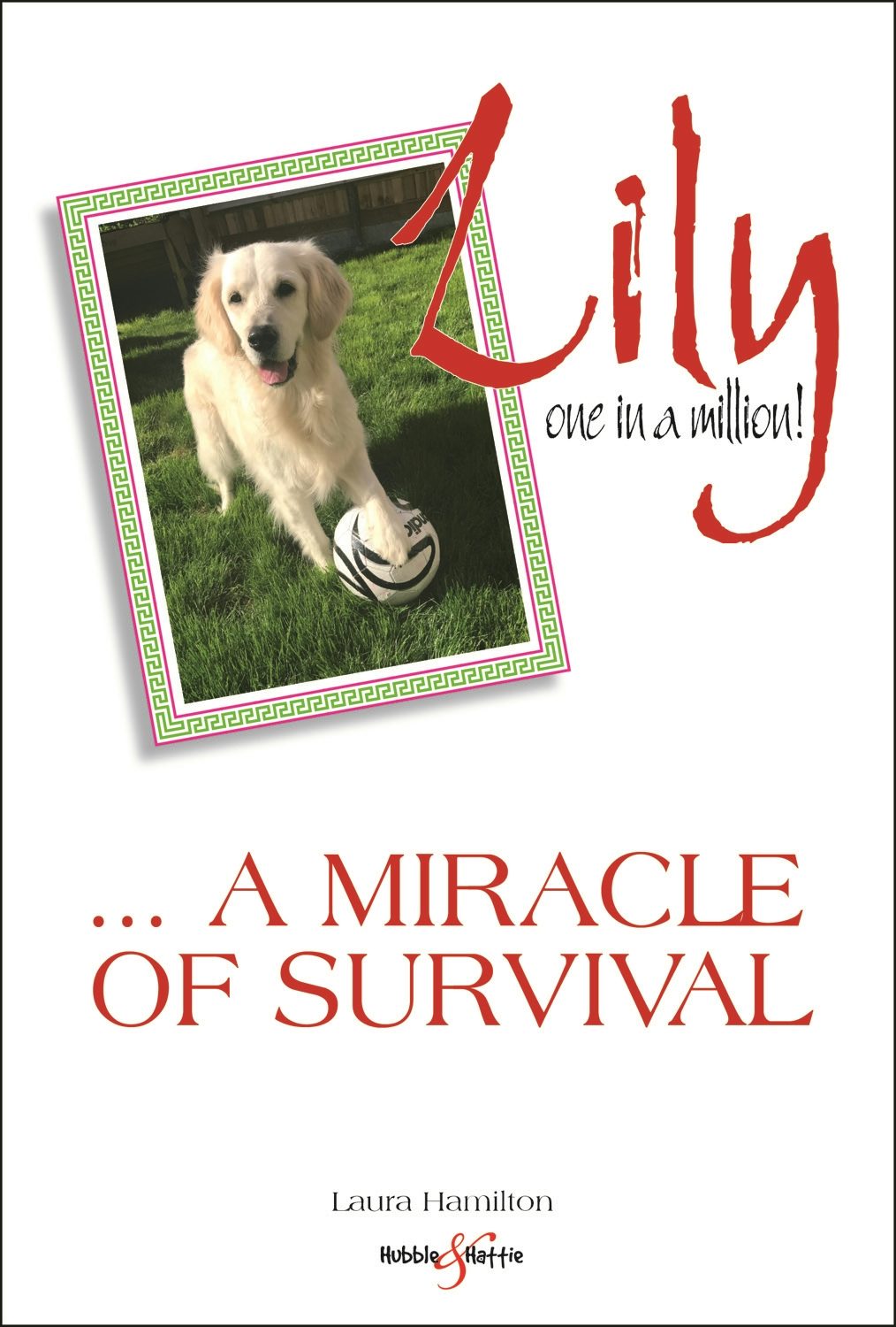 Book cover image for Lily: one in a million ISBN: 9781787111479