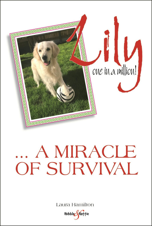 Lily: one in a million