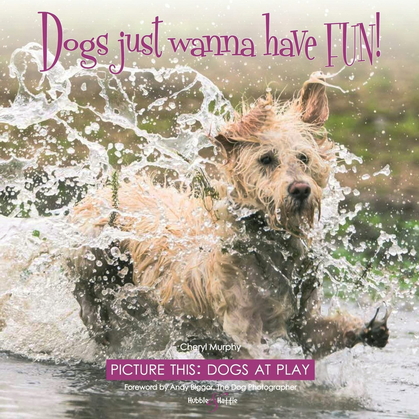Book cover image for Dogs just wanna have FUN! ISBN: 9781787112018