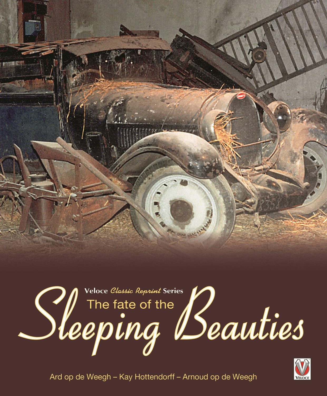 Book cover image for The Fate of the Sleeping Beauties ISBN: 9781787113336