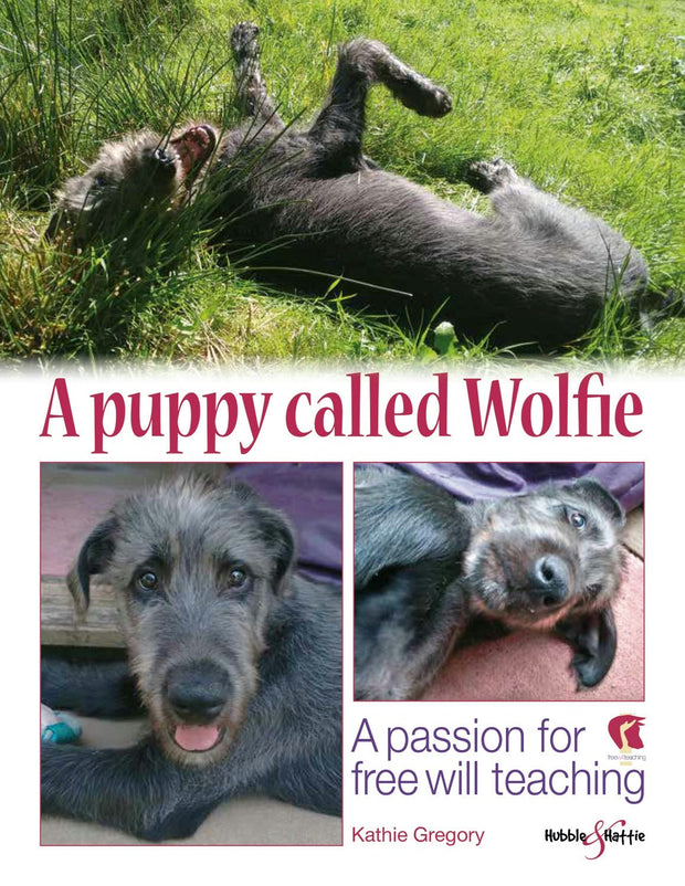 Cover image for A puppy called Wolfie, isbn: 9781787114135