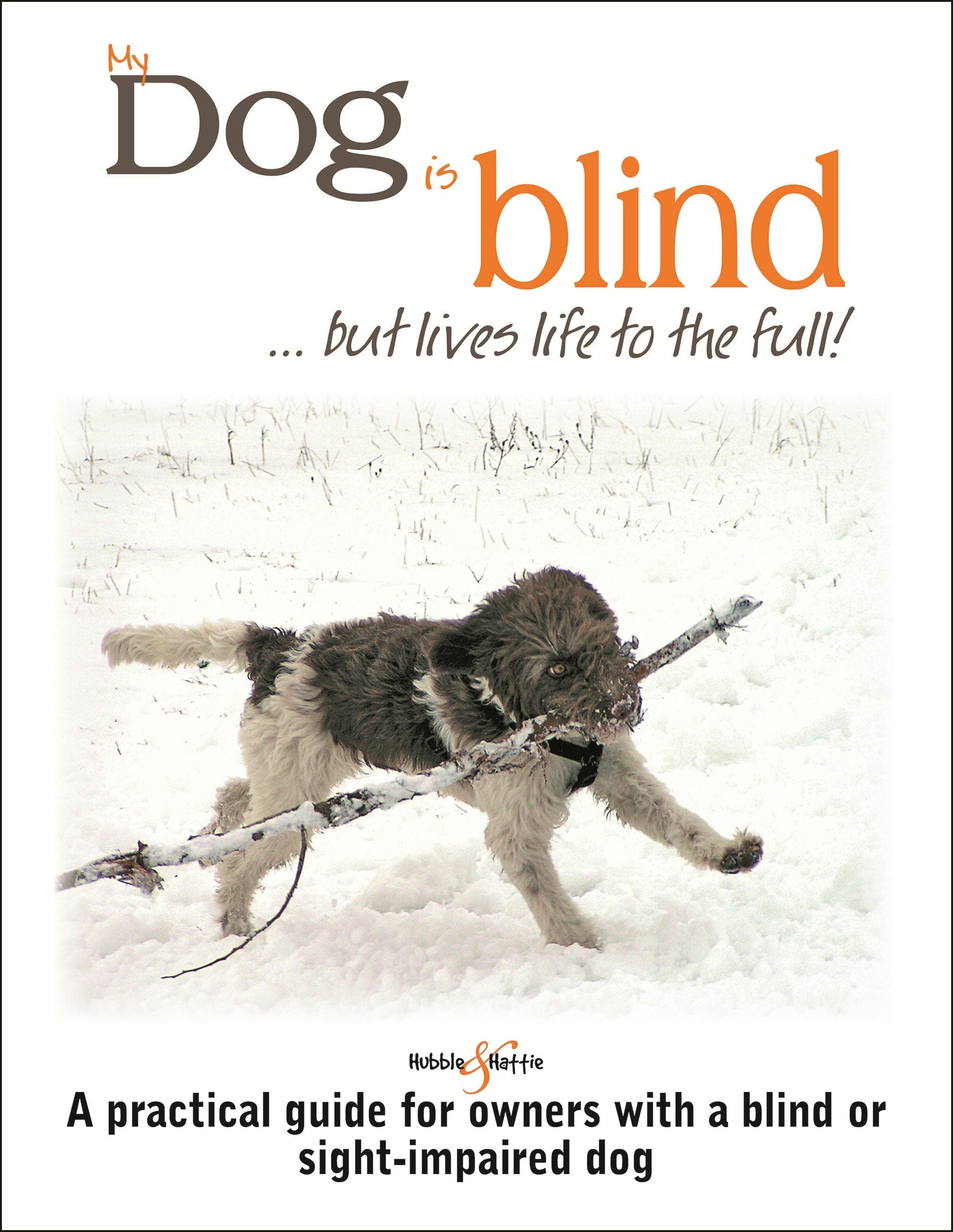 Book cover image for My dog is blind – but lives life to the full! ISBN: 9781787115606