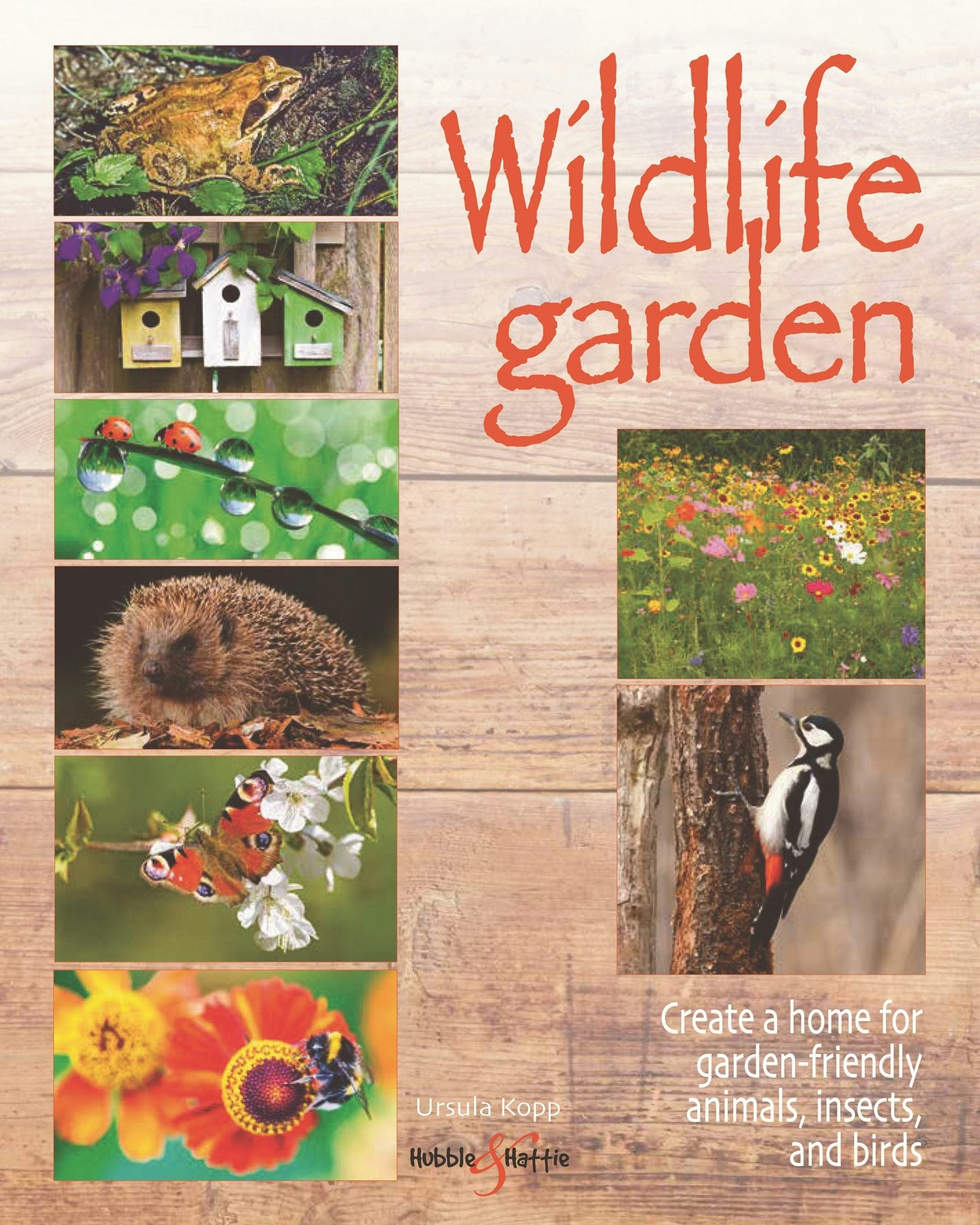 Book cover image for Wildlife garden ISBN: 9781787116009