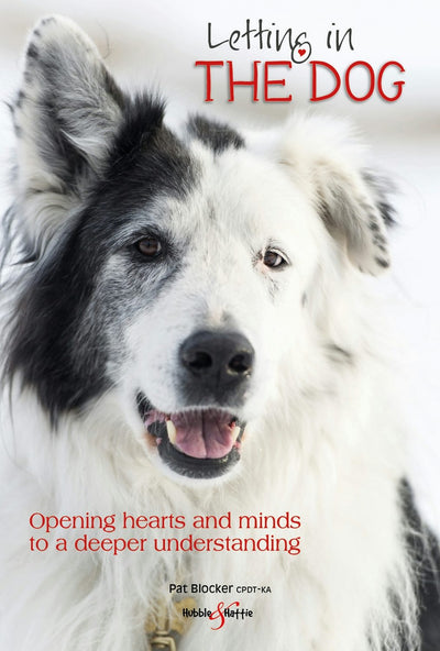 Cover image for Letting in the dog, isbn: 9781787116214