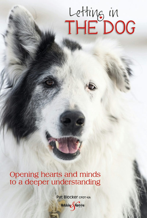 Cover image for Letting in the dog, isbn: 9781787116214