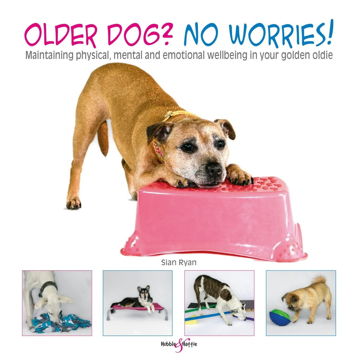Book cover image for Older dog? No worries! ISBN: 9781787117167