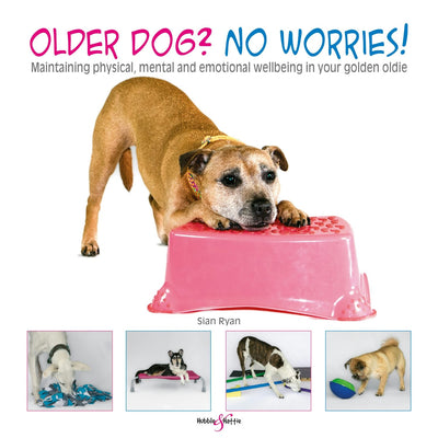 Cover image for Older dog? No worries!, isbn: 9781787117167