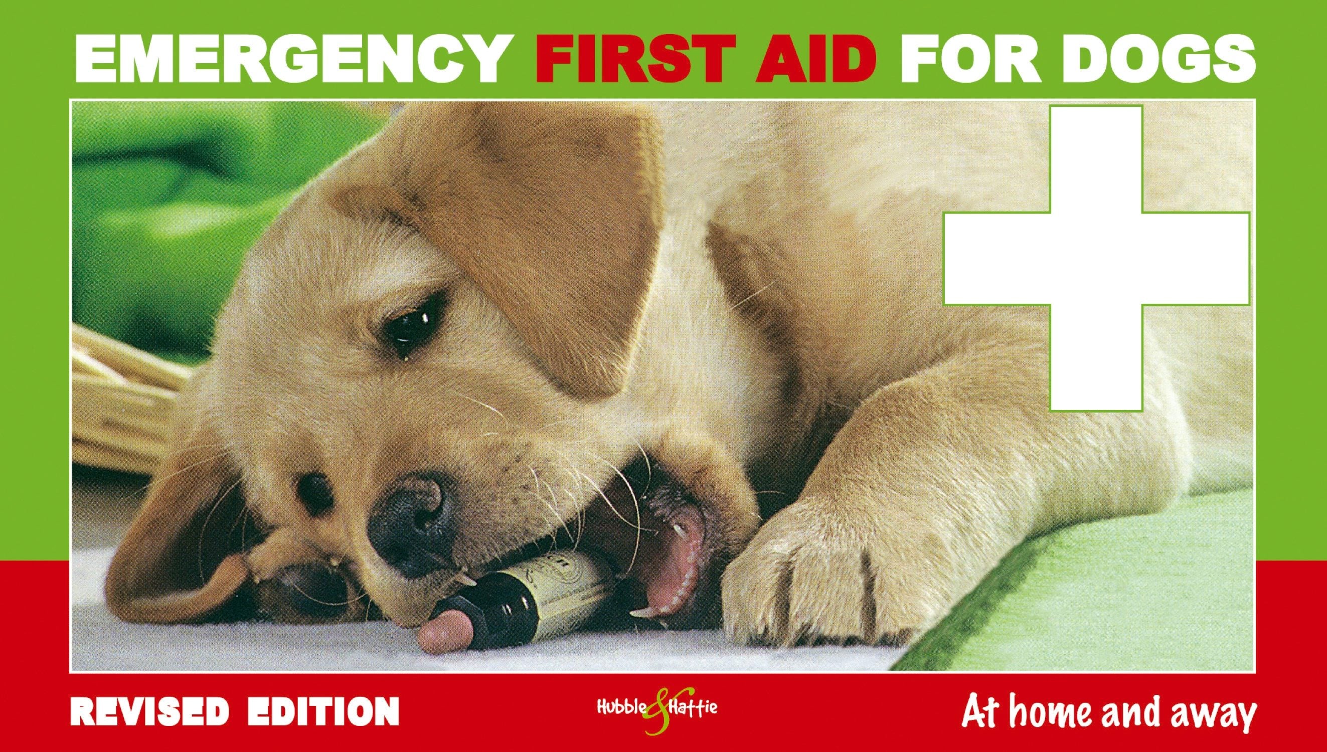 Book cover image for Emergency first aid for dogs ISBN: 9781787118096