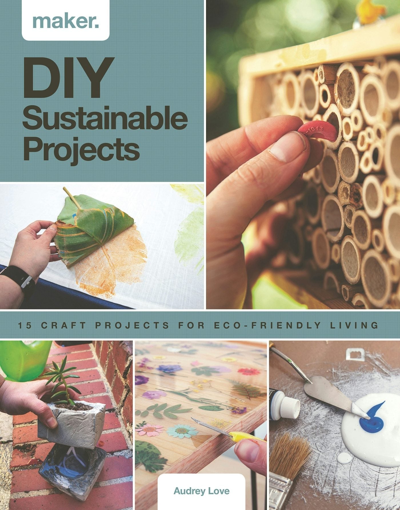 Book cover image for DIY Sustainable Projects ISBN: 9781787393974