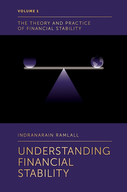 Book cover image for Understanding Financial Stability ISBN: 9781787568341