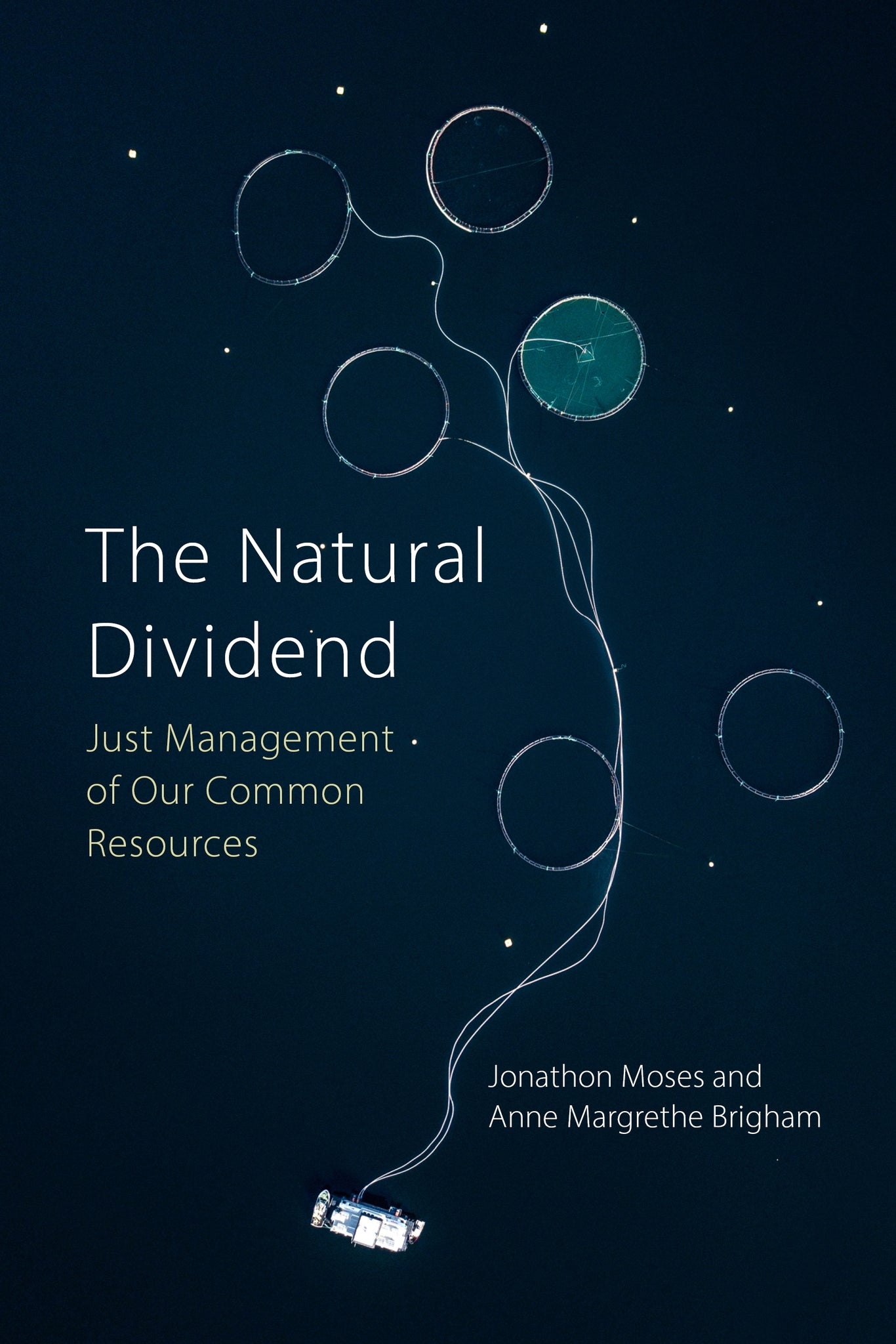 Cover image for The Natural Dividend ISBN 9781788214407