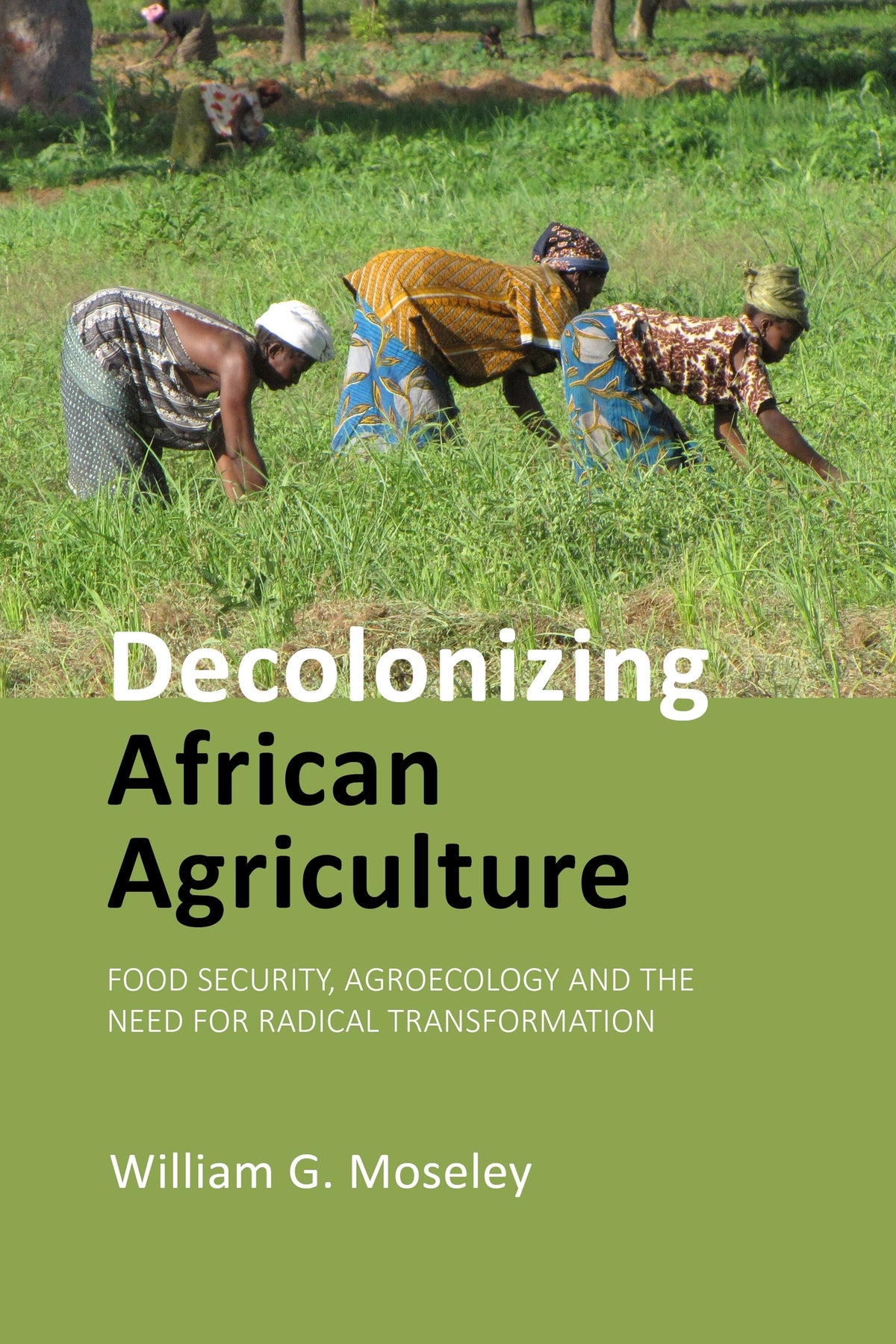 Cover image for Decolonizing African Agriculture ISBN 9781788215893