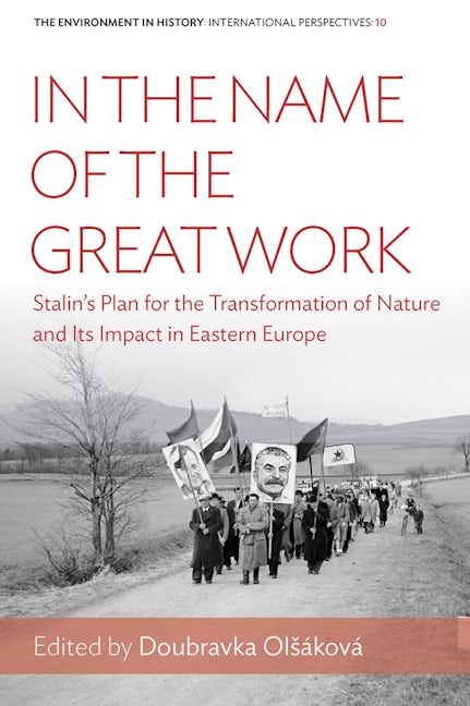 Book cover image for In the Name of the Great Work ISBN: 9781789205022