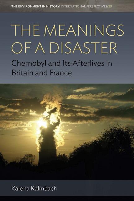 Book cover image for The Meanings of a Disaster ISBN: 9781789207026