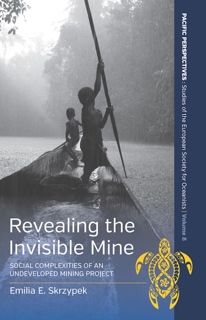 Book cover image for Revealing the Invisible Mine ISBN: 9781789208566