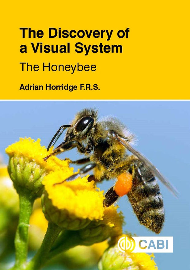 Cover image for Discovery of a Visual System - The Honeybee, The, isbn: 9781789240894