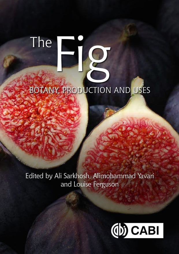 Cover image for The Fig, isbn: 9781789242881