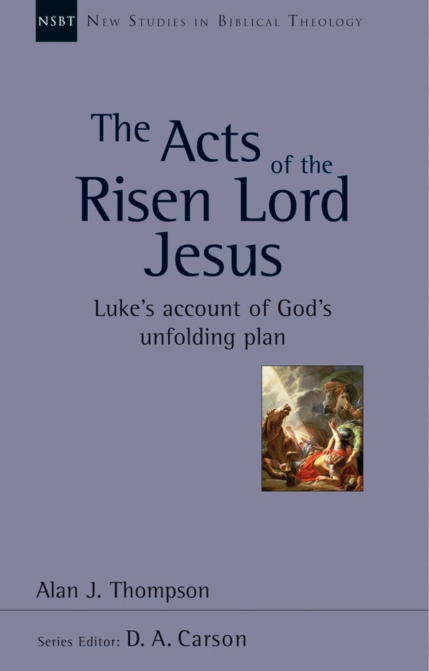 Cover image for The Acts of the Risen Lord Jesus, isbn: 9781789740110