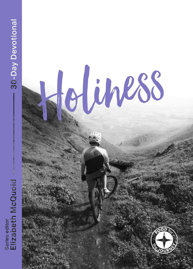 Cover image for Holiness: Food for the Journey, isbn: 9781789741957