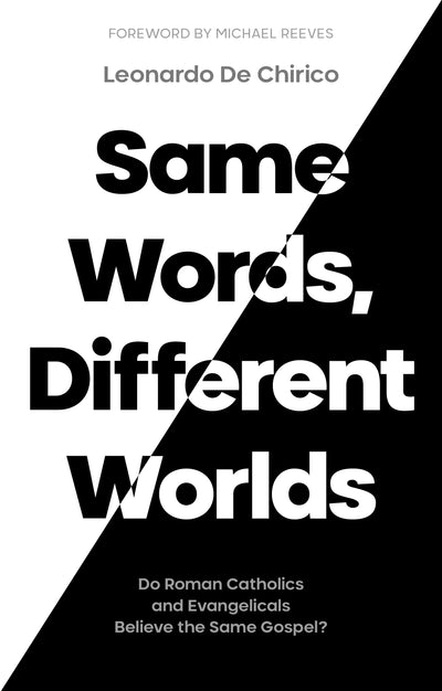 Cover image for Same Words, Different Worlds, isbn: 9781789743616