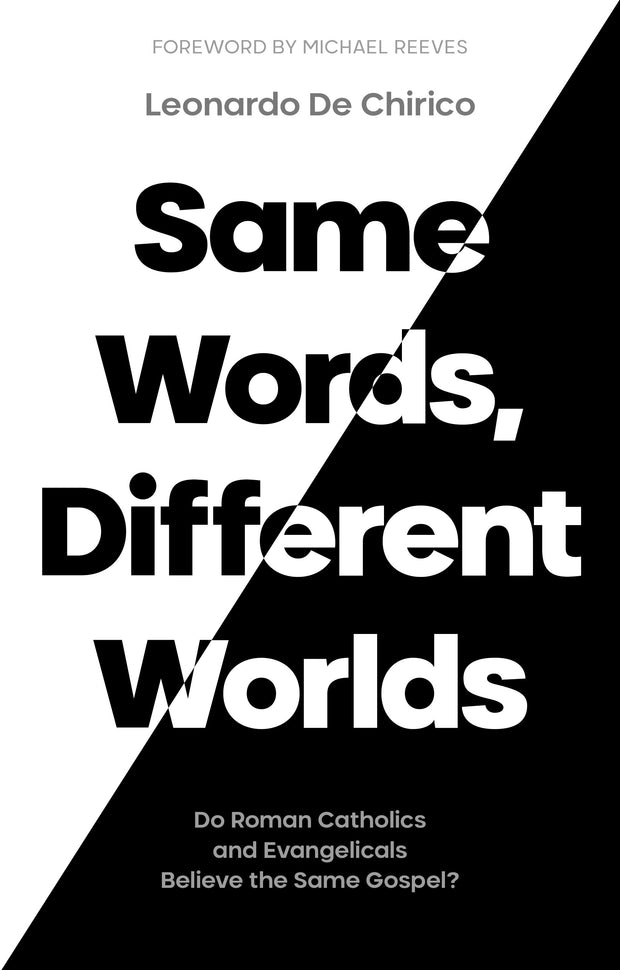 Cover image for Same Words, Different Worlds, isbn: 9781789743616