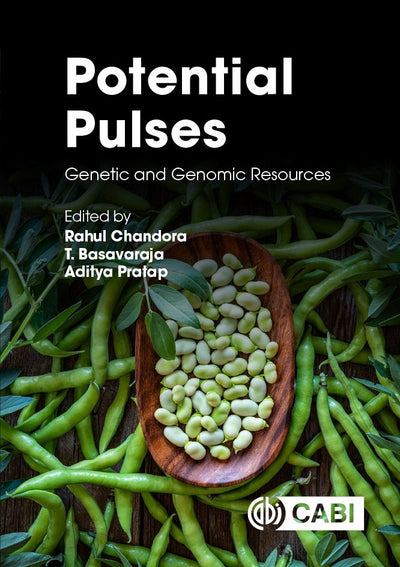 Cover image for Potential Pulses, isbn: 9781800624634