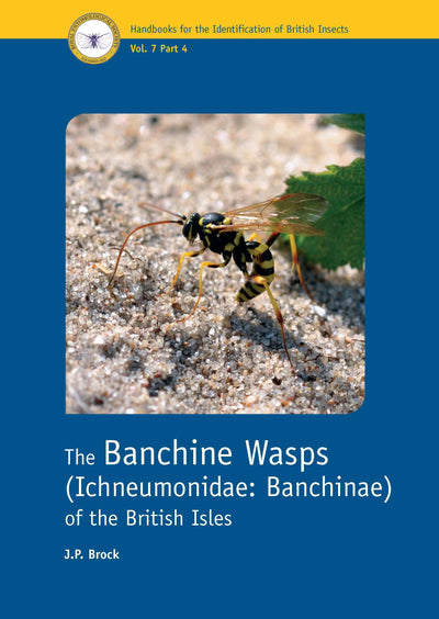 Cover image for The Banchine Wasps (Ichneumonidae: Banchinae) of the British Isles, isbn: 9781800628274
