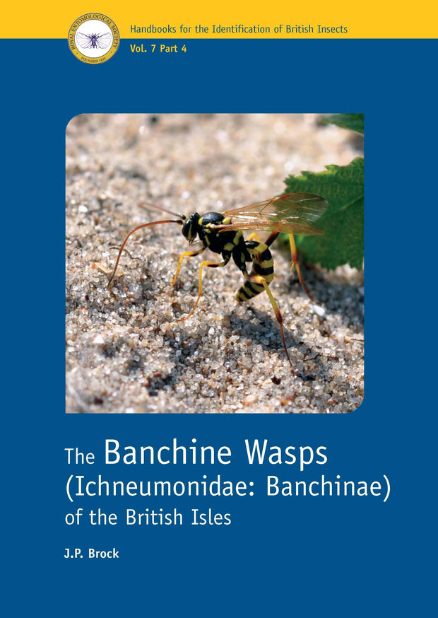Cover image for The Banchine Wasps (Ichneumonidae: Banchinae) of the British Isles, isbn: 9781800628274