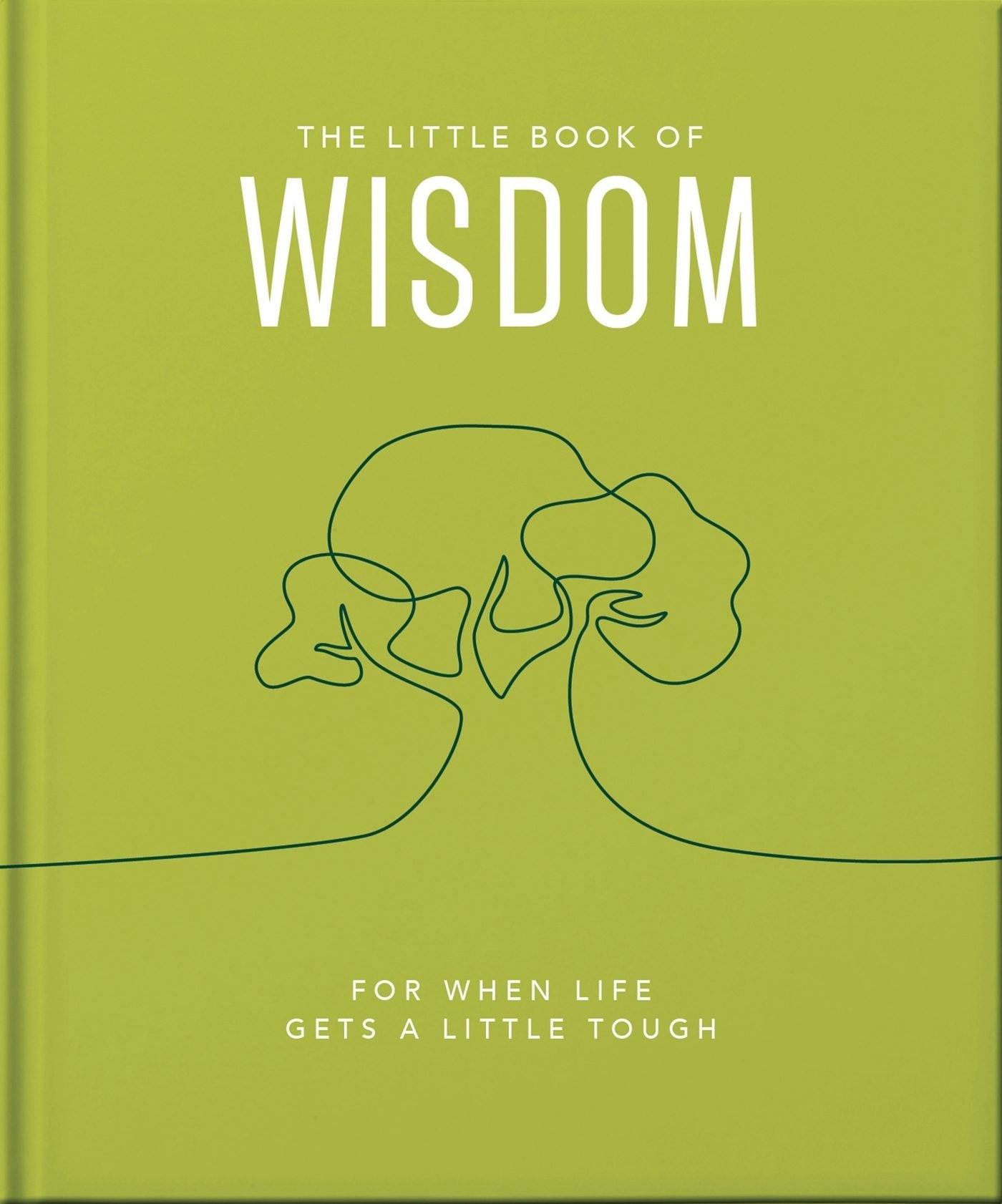 Book cover image for The Little Book of Wisdom ISBN: 9781800693586