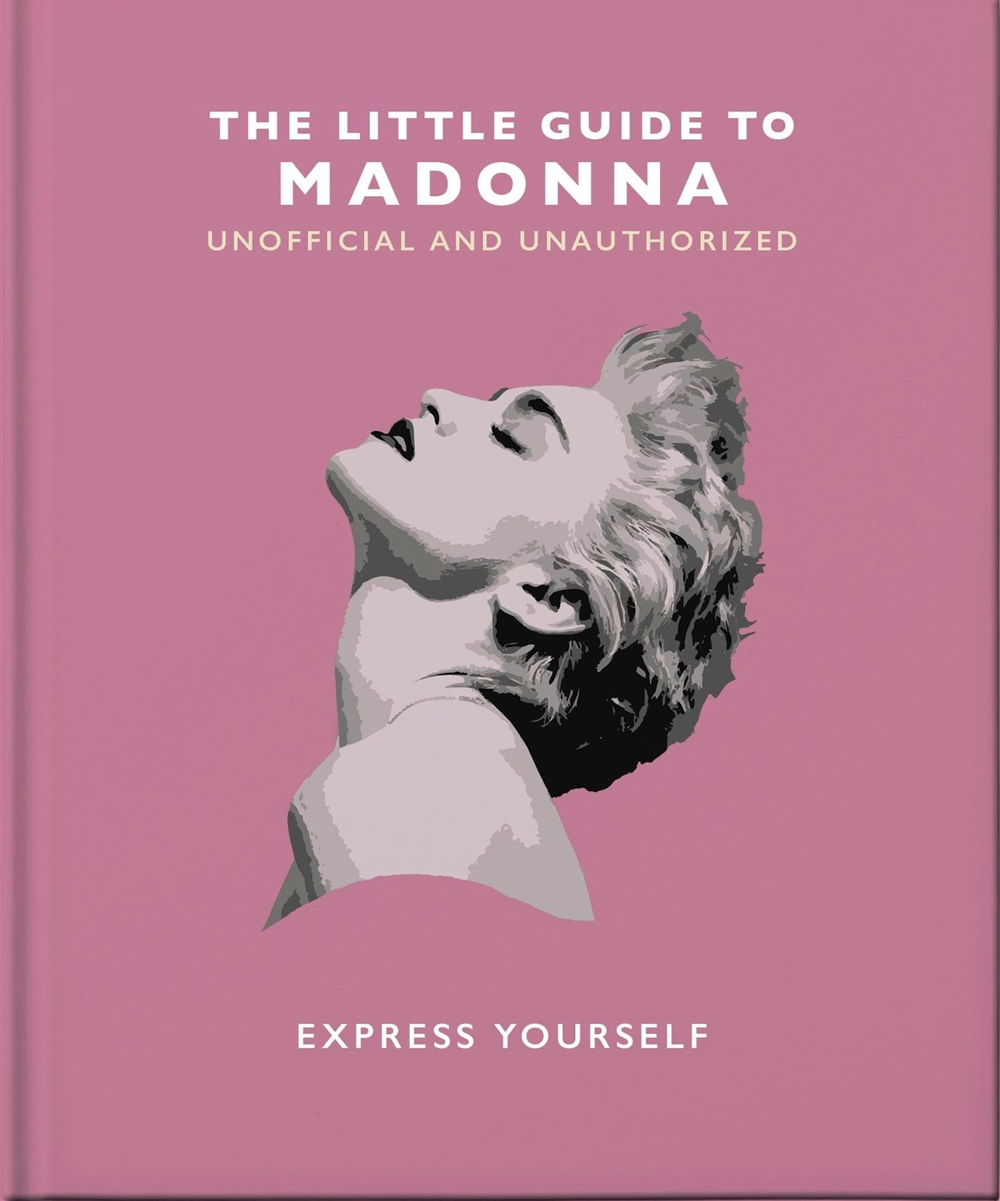 Book cover image for The Little Guide to Madonna ISBN: 9781800695276