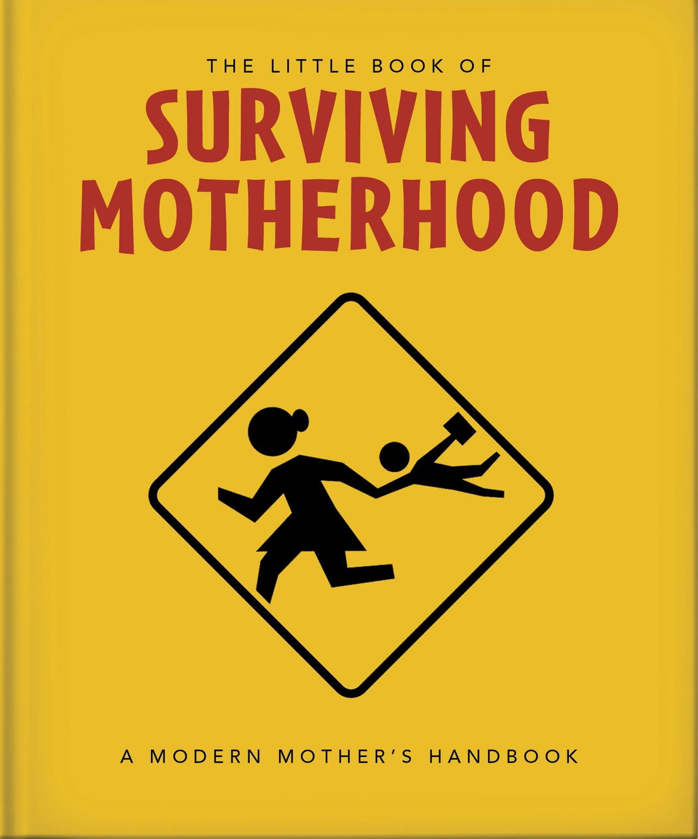 Book cover image for The Little Book of Surviving Motherhood ISBN: 9781800695672