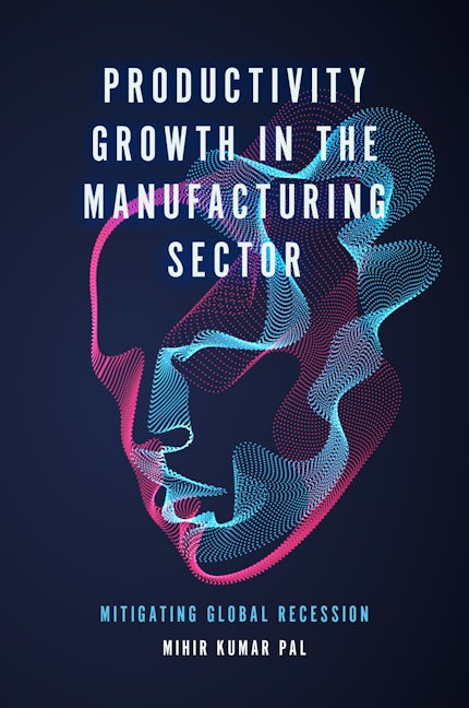 Productivity Growth in the Manufacturing Sector