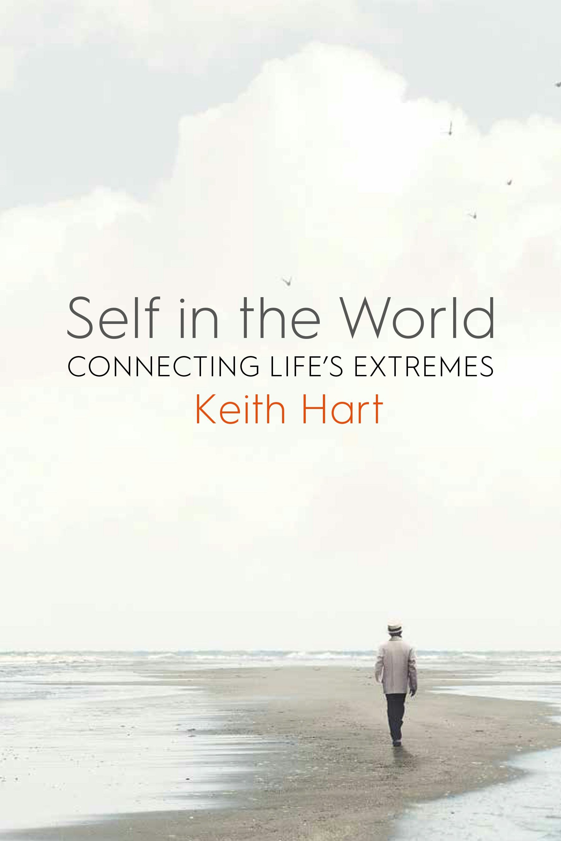 Book cover image for Self in the World ISBN: 9781800734203